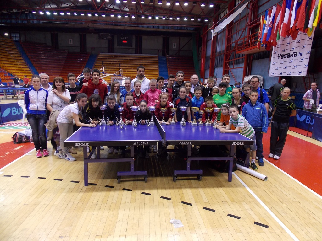 ZagiPing 2013