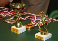Biznis liga 2010