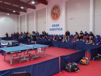 Memorijal Ervin Danka 2013