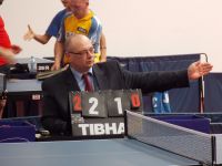 Memorijal Ervin Danka 2013
