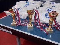 Memorijal Ervin Danka 2013