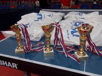 Memorijal Ervin Danka 2013