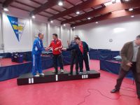 Memorijal Ervin Danka 2013