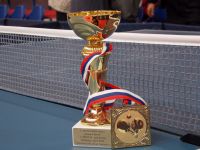 Memorijal Ervin Danka 2013
